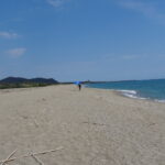 DSC05949 DSC05949